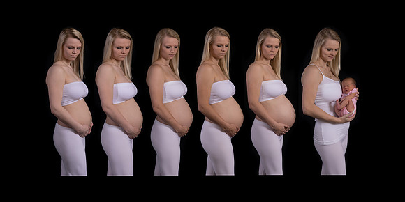 danielle timeline