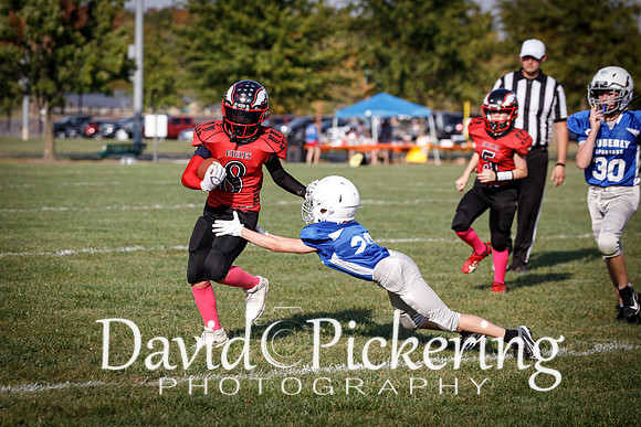 DPP_1365-5