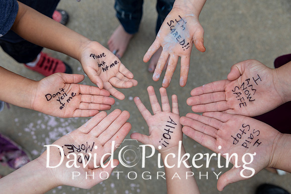 DPP_3279-54