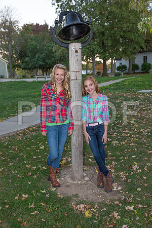 DPP_0616-33