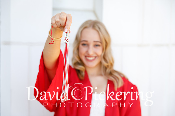DPP_0331-13