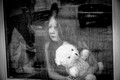 DPP_3026-2