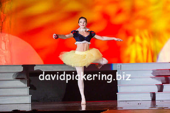 DPP_1477-160