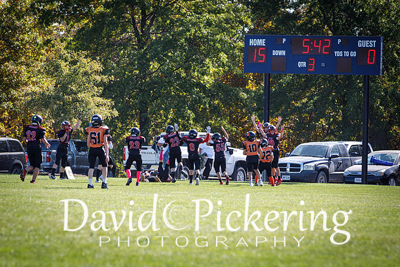 DPP_3077-91
