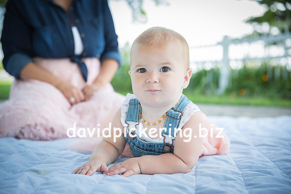 DPP_3537-8