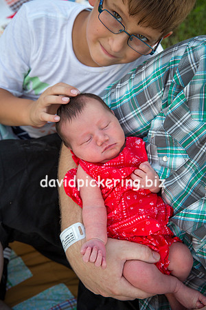 DPP_7261-29