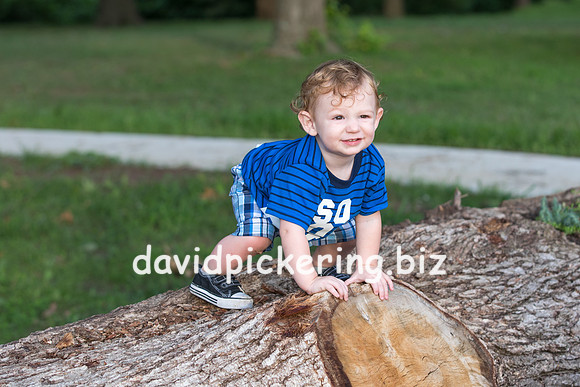 DPP_6015-135