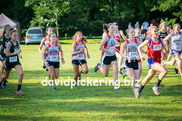 DPP_7974-8
