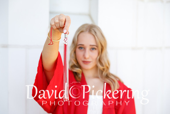 DPP_0335-14