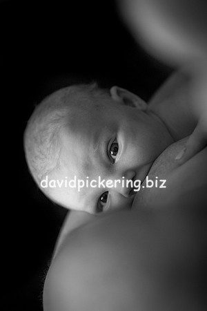 DPP_5202-63