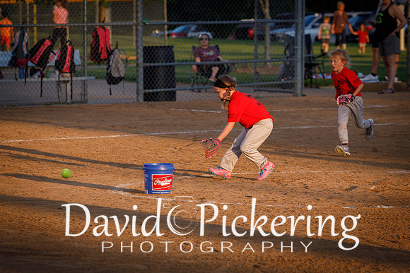 DPP_9845-34