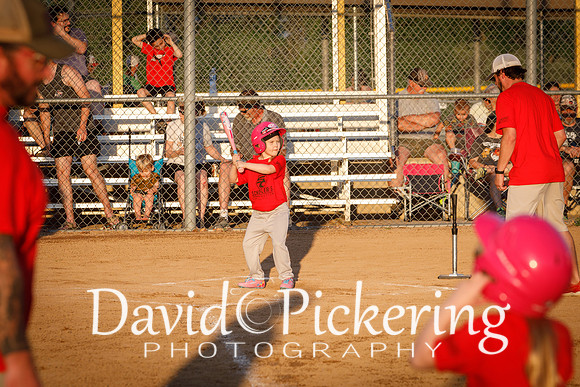 DPP_9819-28