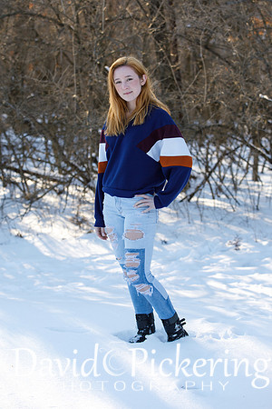 DPP_2073-1