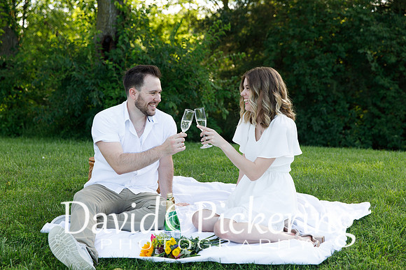 DPP_1056-19