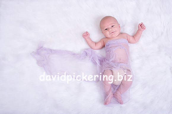 DPP_0137-4