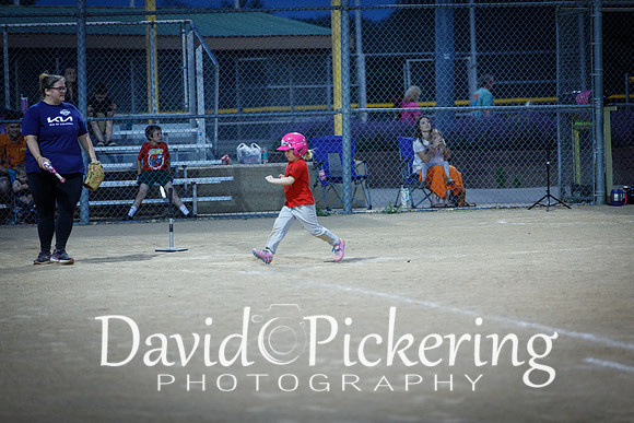 DPP_1260-44