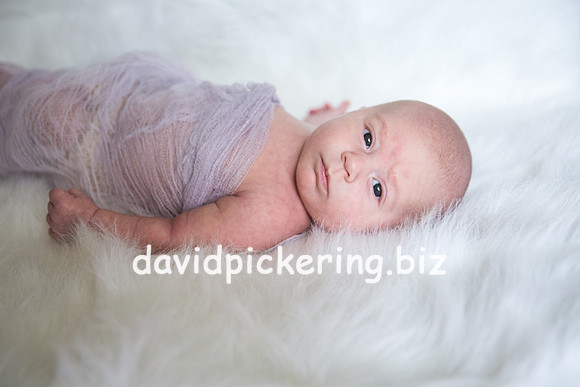 DPP_0131-3