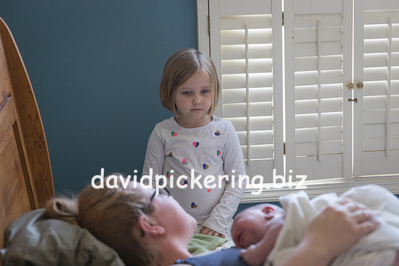 DPP_9386-125