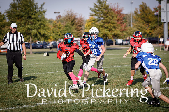 DPP_1361-4