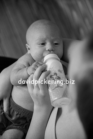 DPP_0146-11
