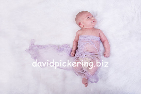 DPP_0141-7