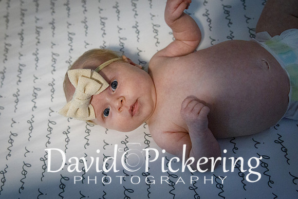 DPP_6059-31