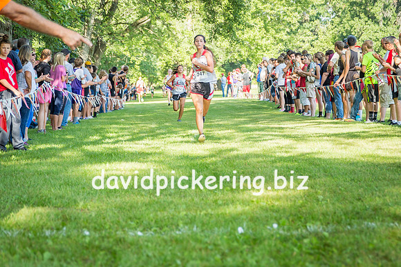 DPP_8040-27