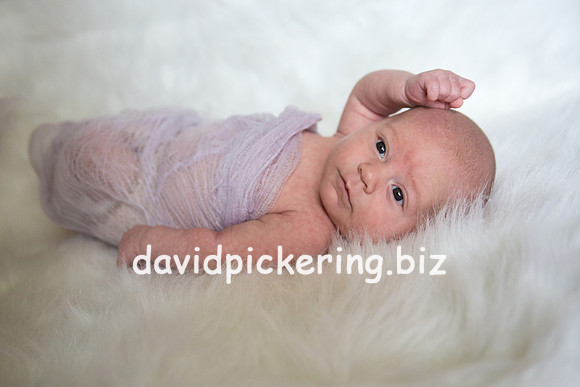 DPP_0121-2