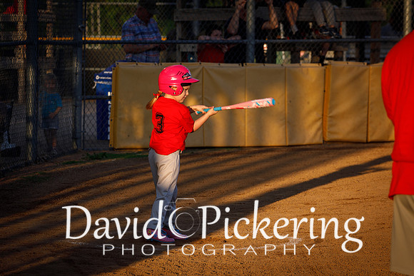 DPP_9811-26