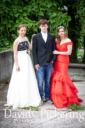 DPP_3531-107