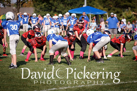 DPP_1398-12