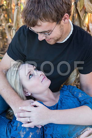 DPP_0732-40