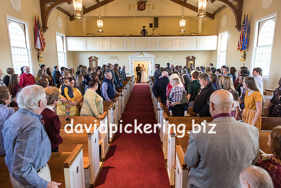 DPP_7006-91