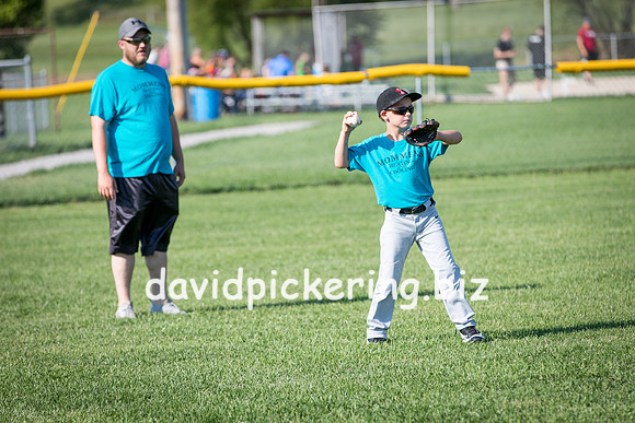 DPP_6019-1